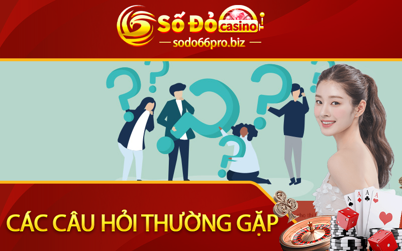 Các Câu hỏi thường gặp